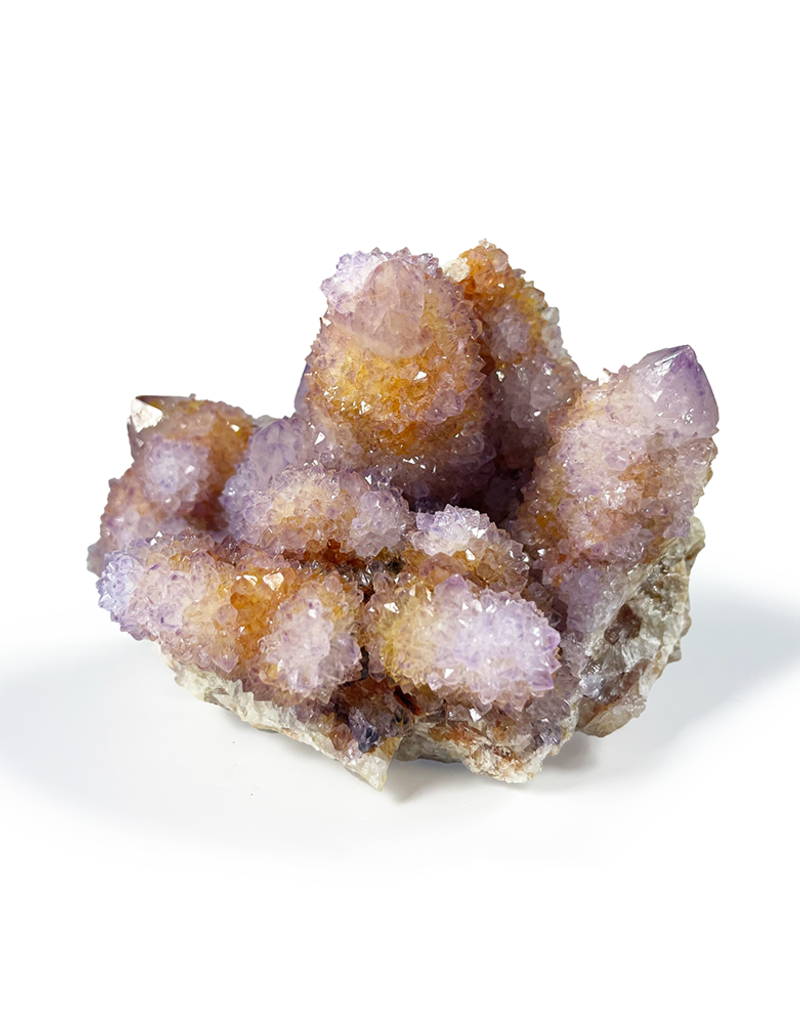 Cactus Amethyst Druze