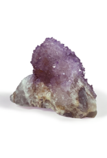 Cactus Amethyst Druze - 2