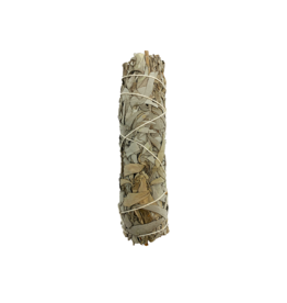 White Sage Smudge- 6 inches