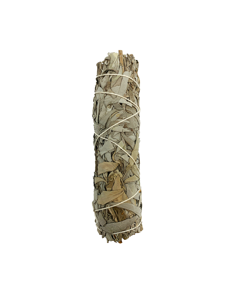 White Sage Smudge- 6 inches