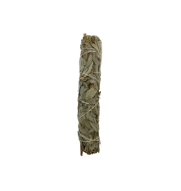 White Sage Smudge- 9 inches