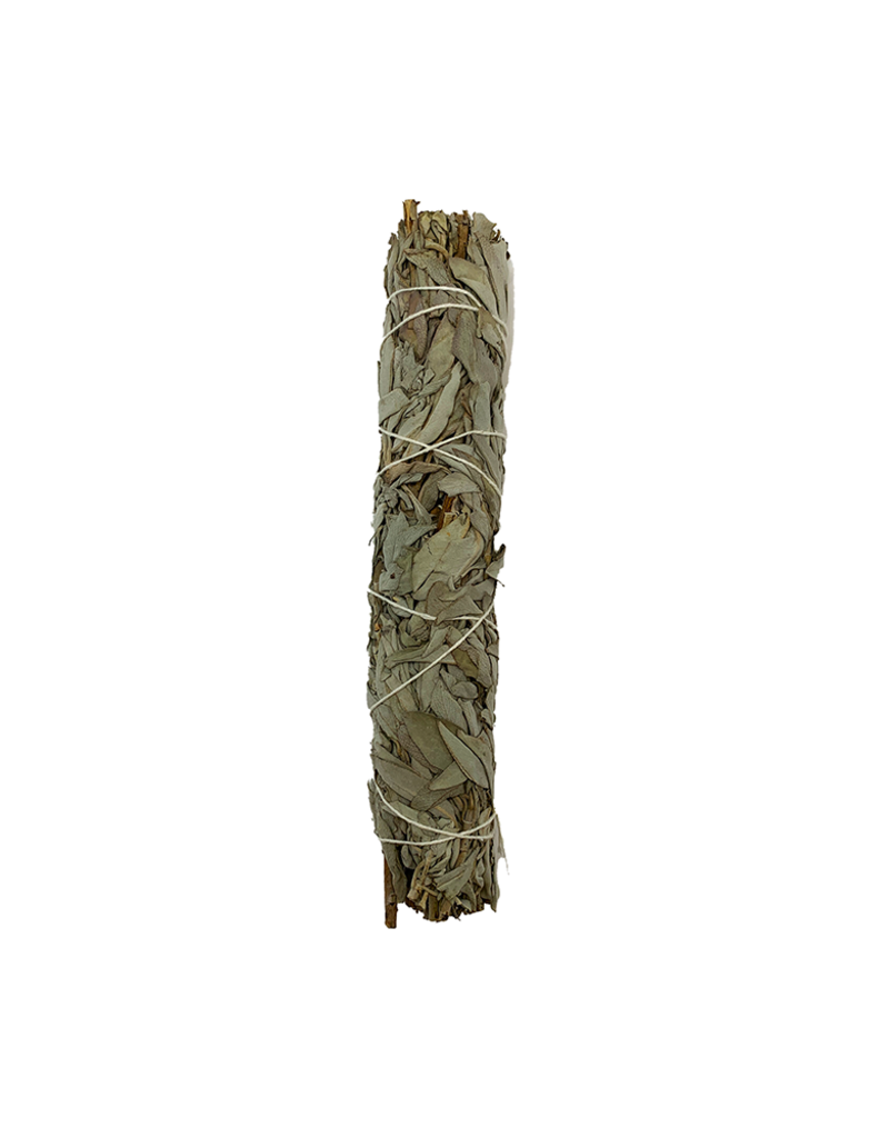 White Sage Smudge- 9 inch