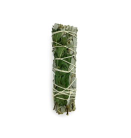 White Sage & Spearmint Smudge- 4 inch