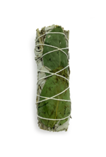 White Sage & Basil Smudge- 4 inches