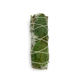 White Sage & Basil Smudge- 4 inches