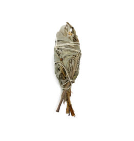 White Sage Torch Smudge- 4 inch- NA-WHSAT