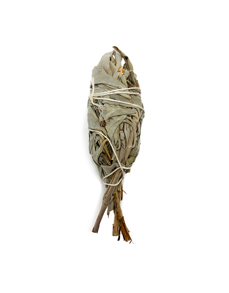 White Sage Torch Smudge- 4 inch- NA-WHSAT