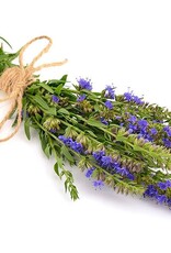 Hyssop Oil