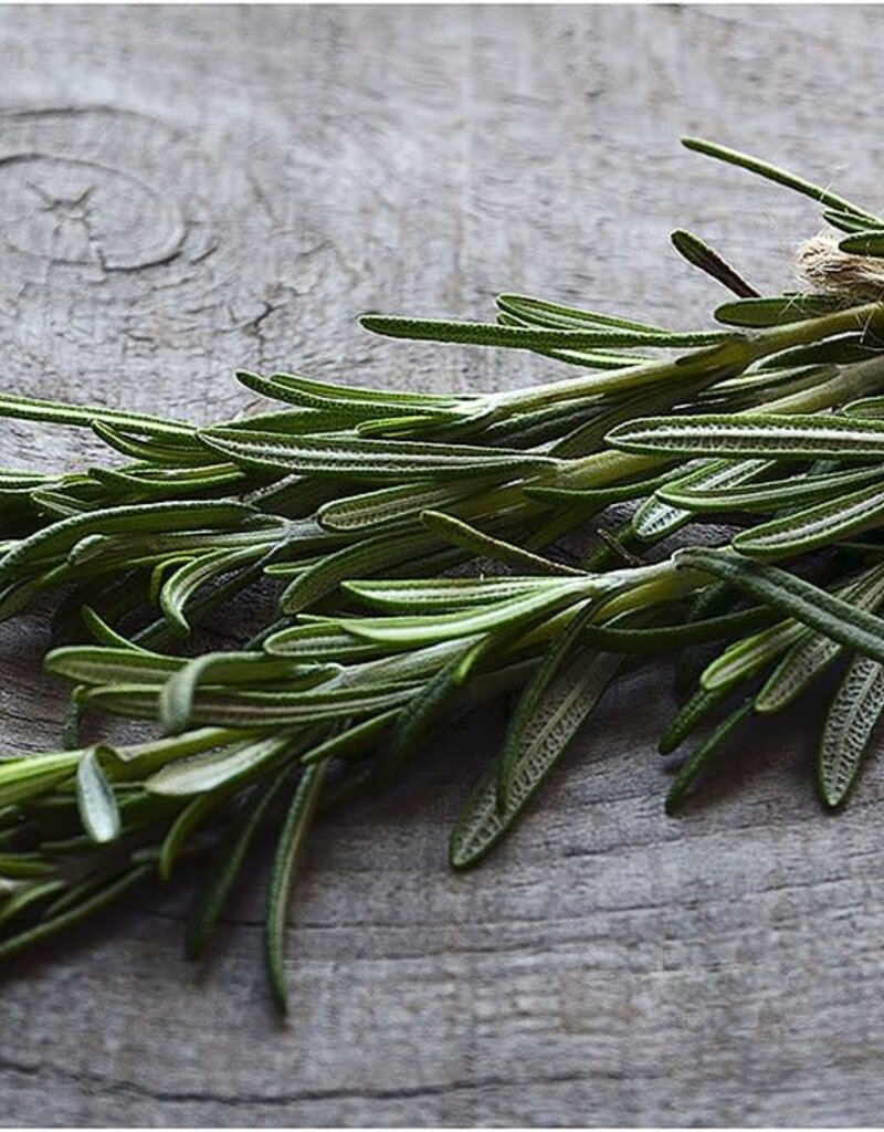 Rosemary Essential Oil .5 oz - RSM