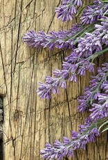 French Lavender Essential Oil .5 oz. - FRL