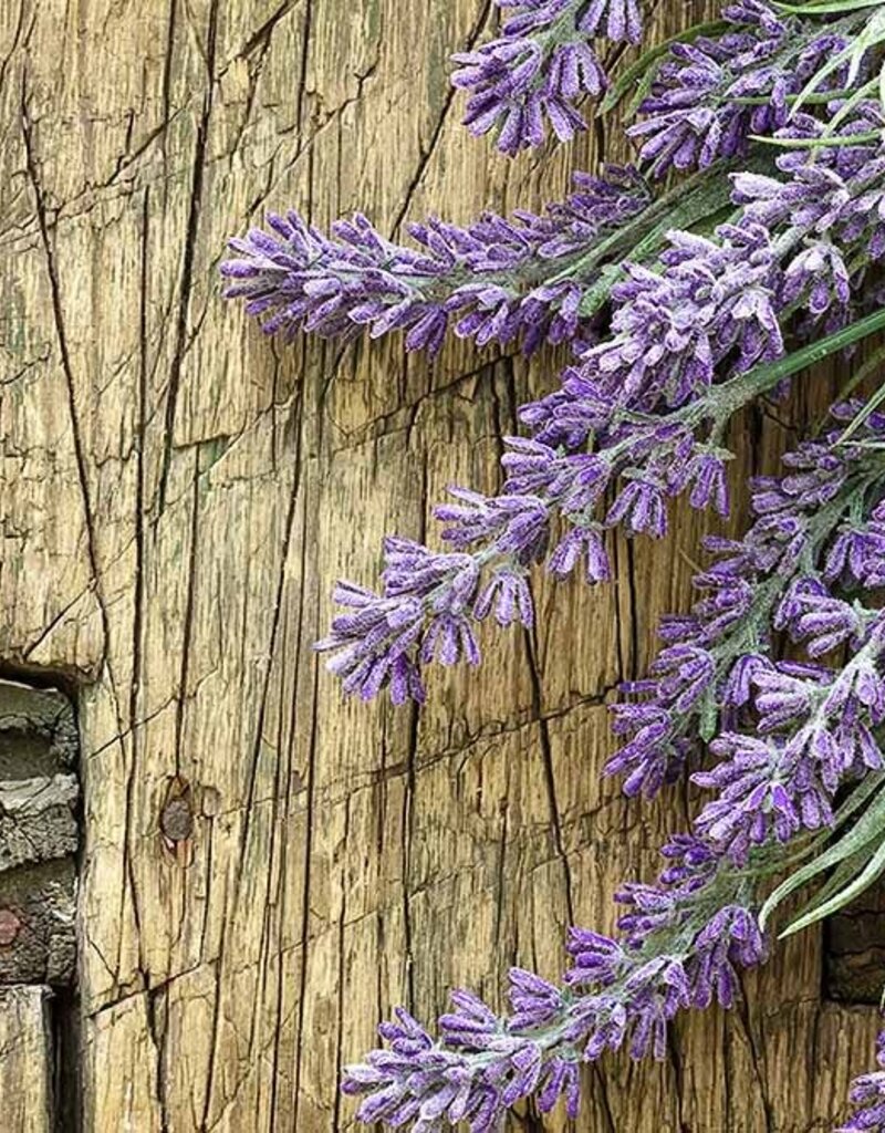 French Lavender Essential Oil .5 oz. - FRL