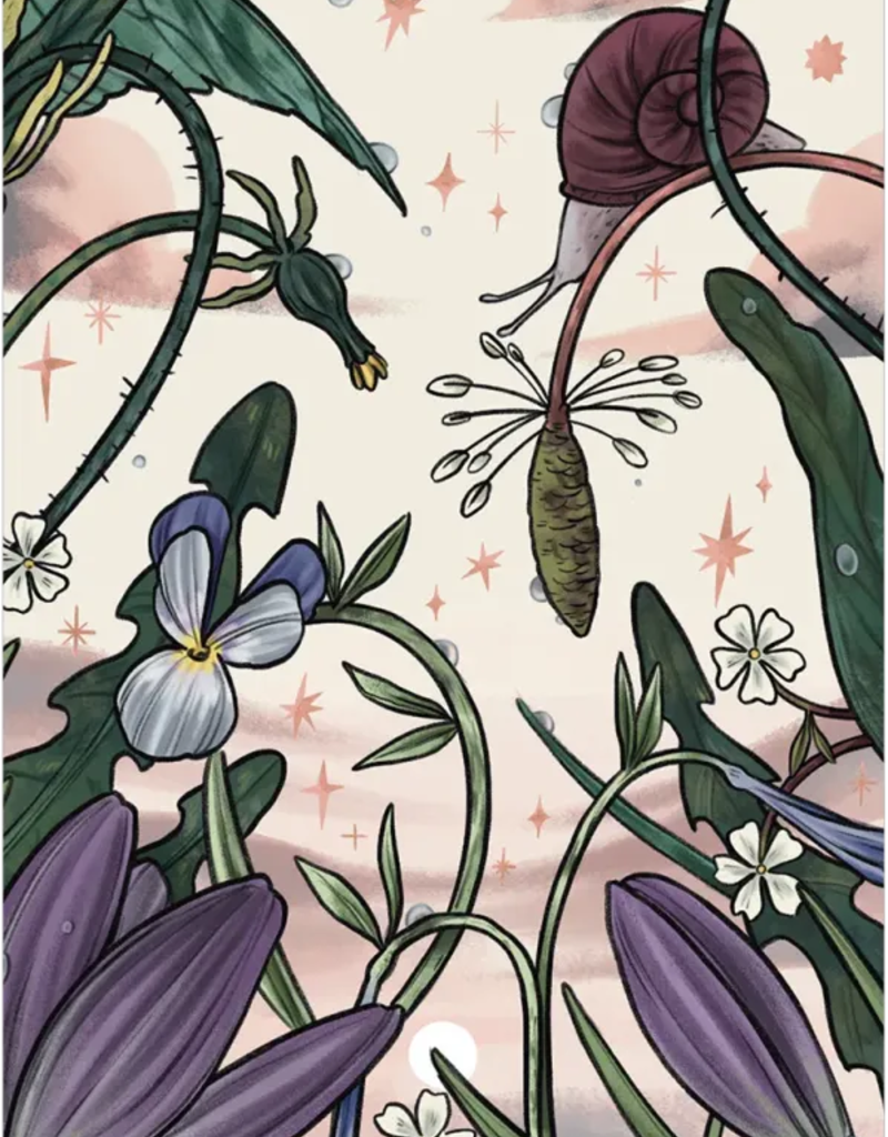 Herbana Witch Oracle - HERB50