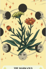 Herbana Witch Oracle - HERB50