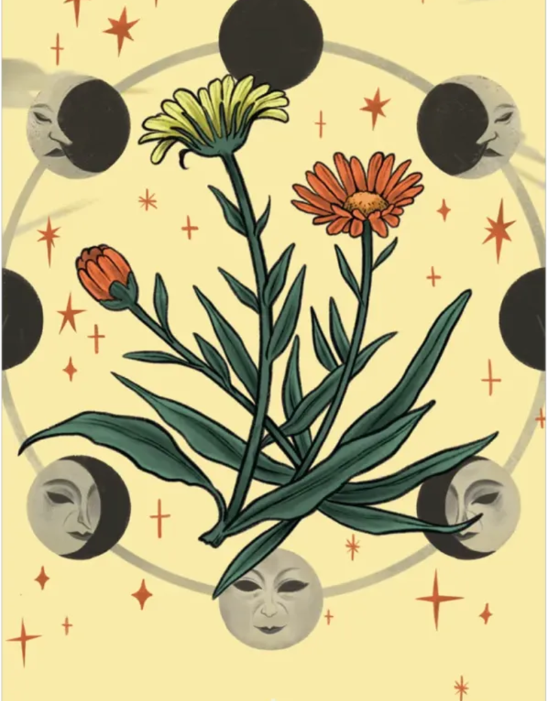 Herbana Witch Oracle - HERB50