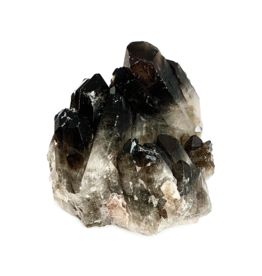 Smoky Quartz Cluster