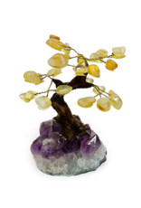 Bonsai Tree- Citrine with Amethyst Base - Med