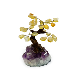 Bonsai Tree- Citrine with Amethyst Base - Med
