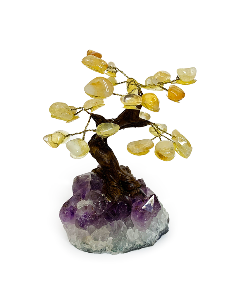 Bonsai Tree- Citrine with Amethyst Base - Med - TREECIT5