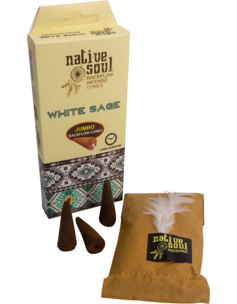 Incense- White Sage Backflow Cones- 73107