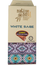 Incense- White Sage Backflow Cones- 73107
