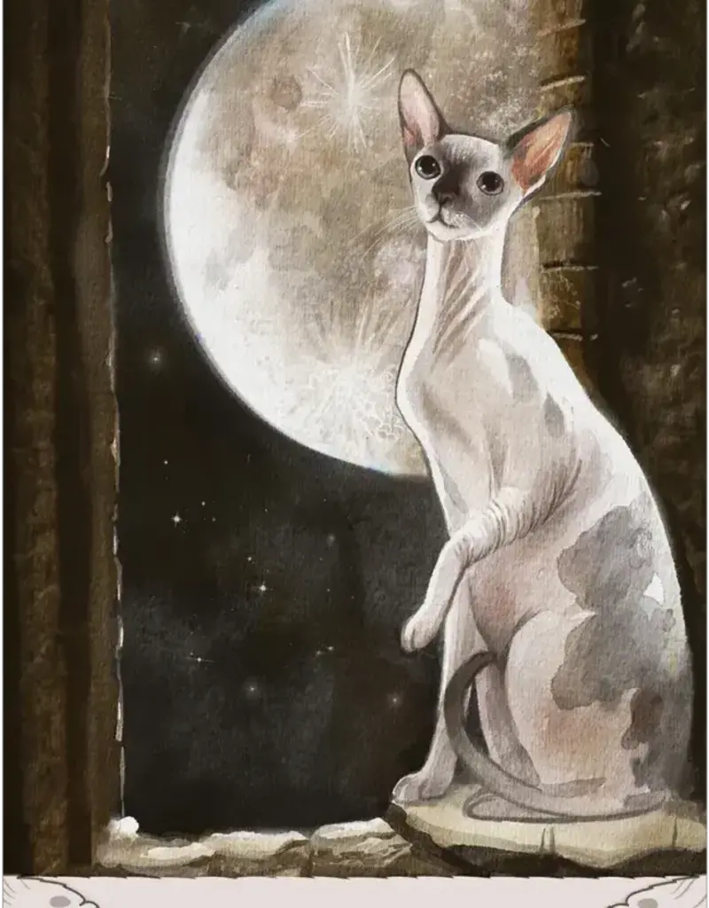 Cat Mythos & Magick Oracle