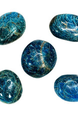 Blue Apatite Palm Stone