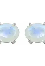Rainbow Moonstone Stud Earrings- Sterling Silver- FE23542