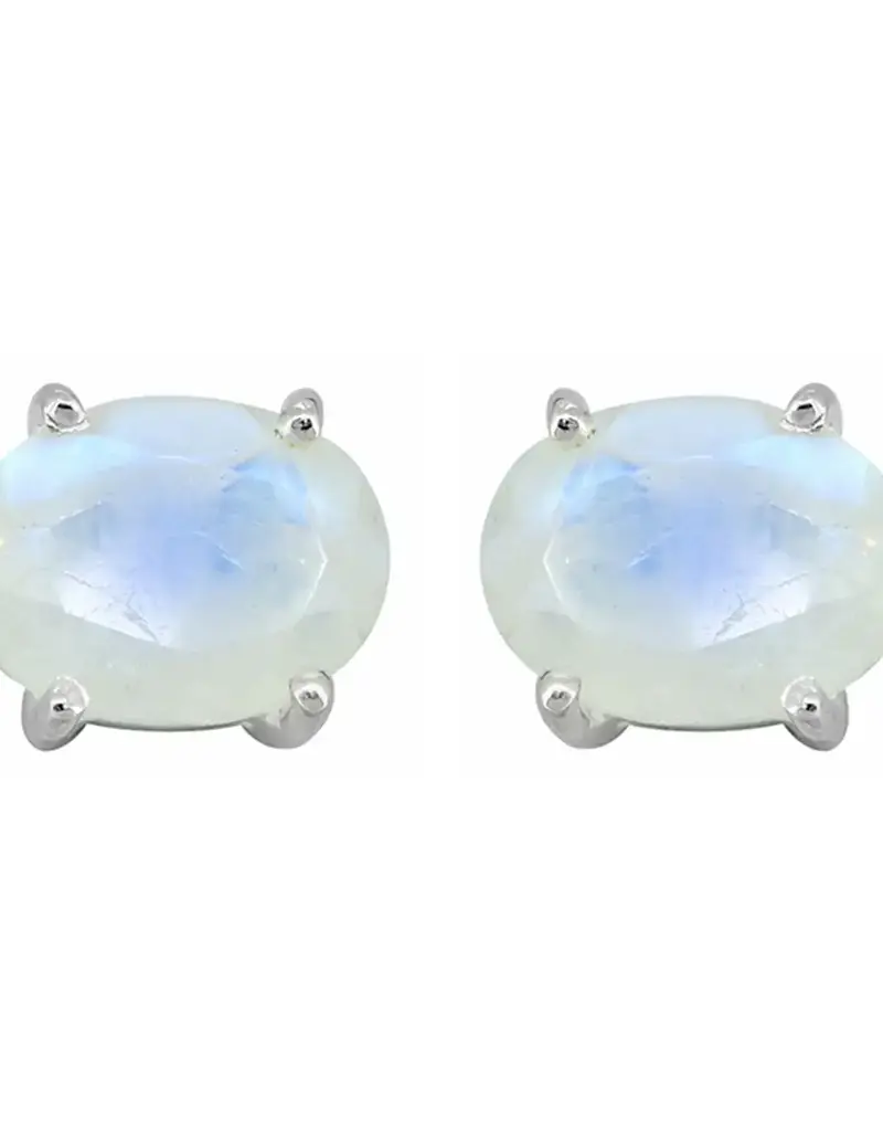 Rainbow Moonstone Stud Earrings- Sterling Silver- FE23542