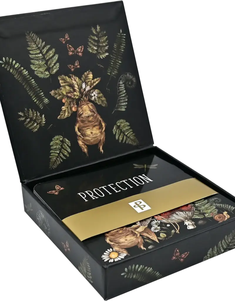 Insight Cards- Everyday Spells for Busy Witches