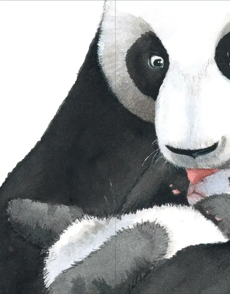 Childrens Book- My Love for You