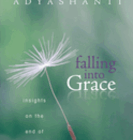 Falling Into Grace by Adyashanti
