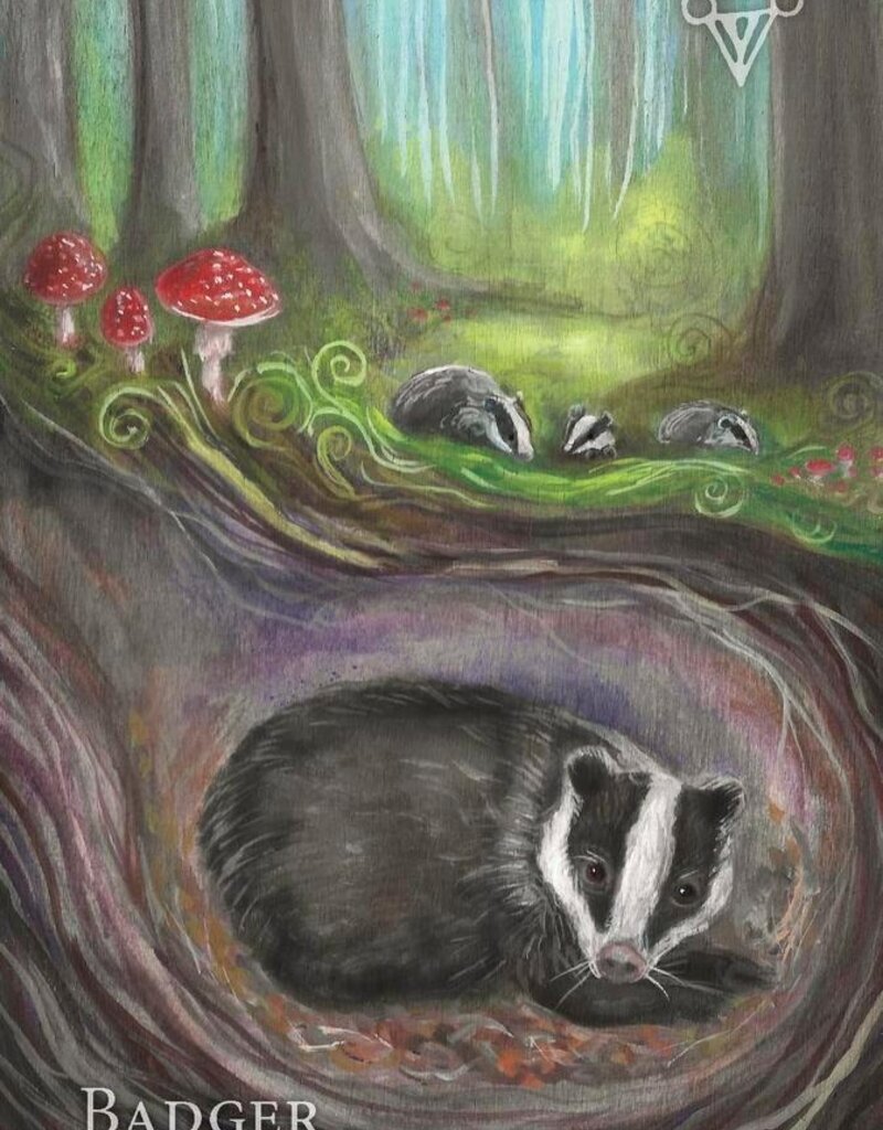 A Witch's Ally Oracle by Dodie Graham McKay