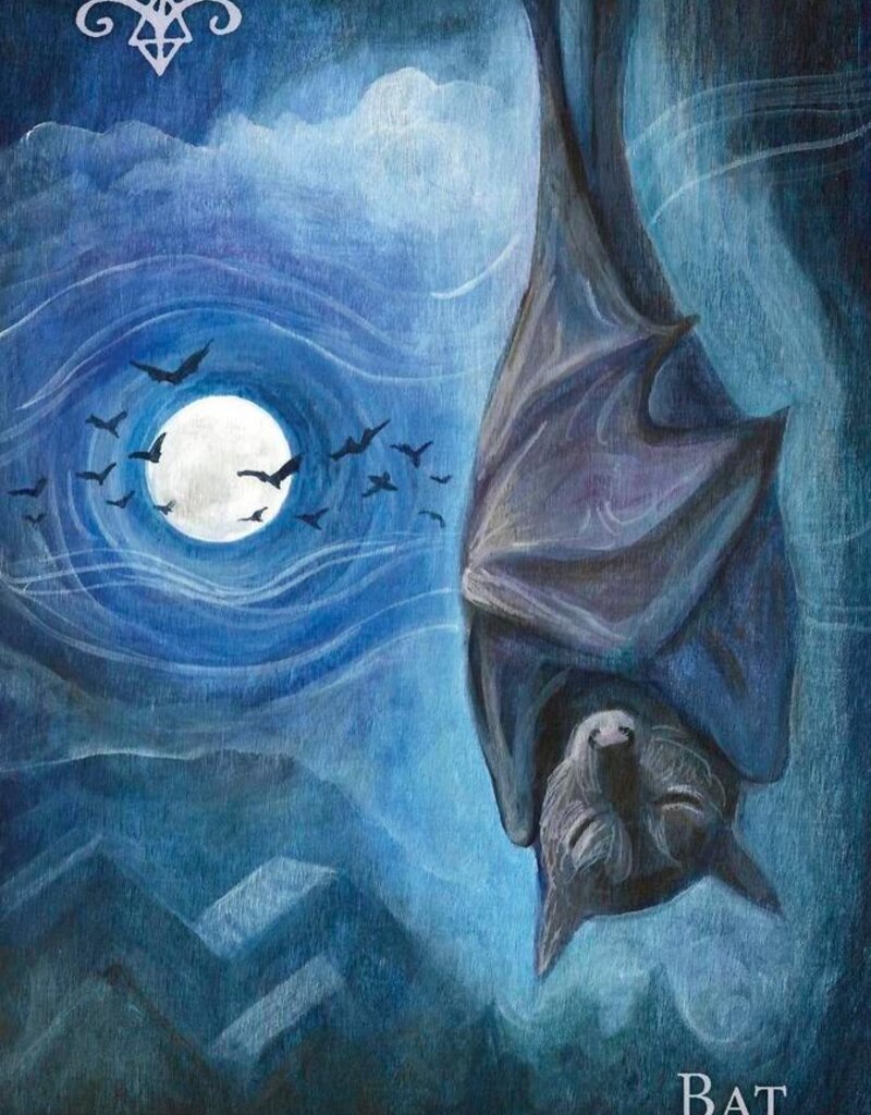 A Witch's Ally Oracle by Dodie Graham McKay