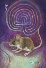 A Witch's Ally Oracle by Dodie Graham McKay