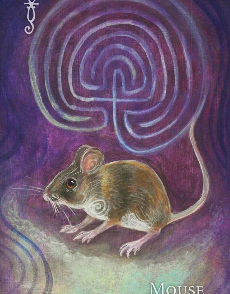 A Witch's Ally Oracle by Dodie Graham McKay