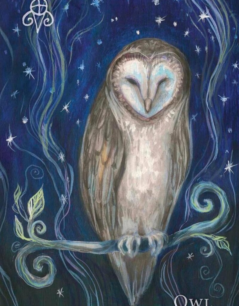 A Witch's Ally Oracle by Dodie Graham McKay