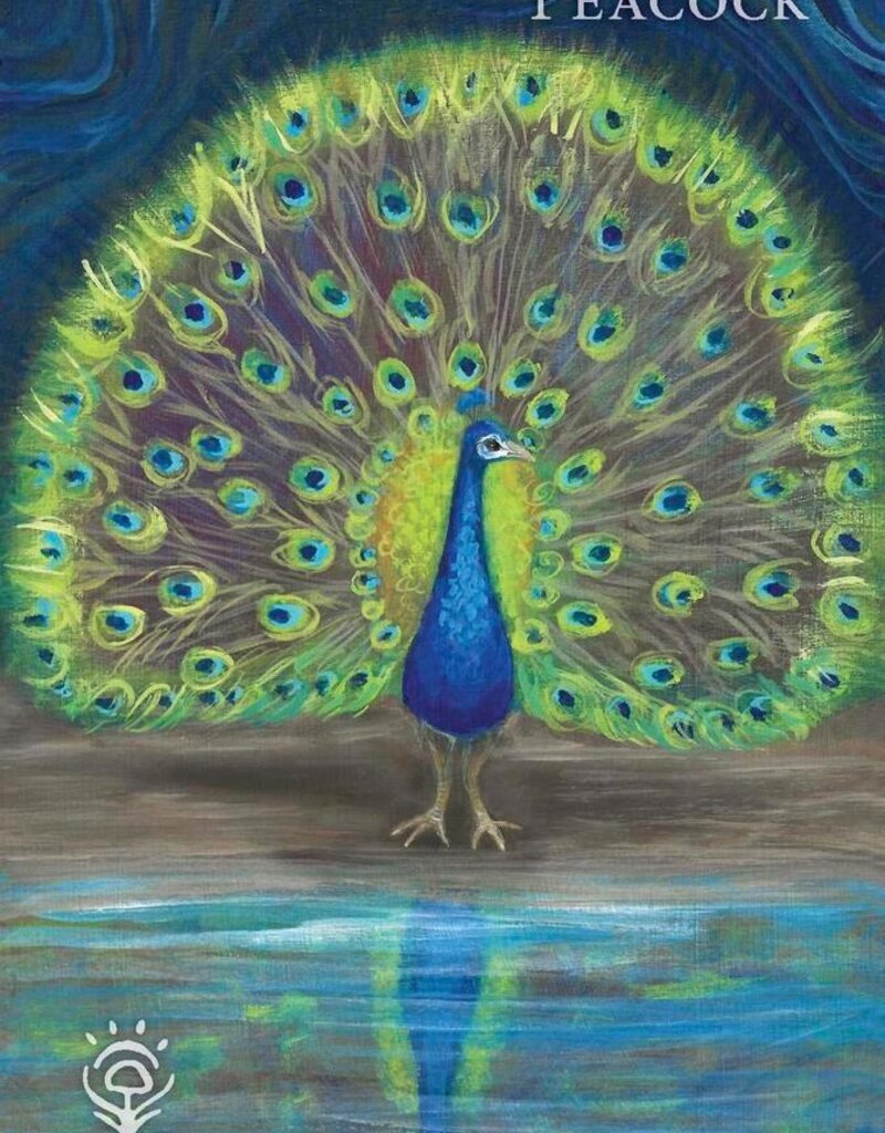 A Witch's Ally Oracle by Dodie Graham McKay