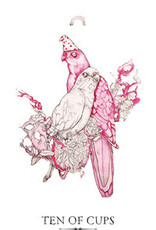 The Linestrider Tarot Mini