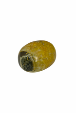 Bumble Bee Jasper Tumble - TC-BBT11