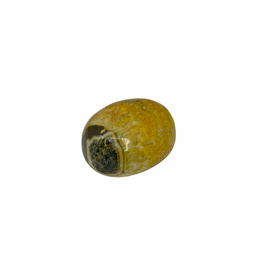 Bumble Bee Jasper Tumble