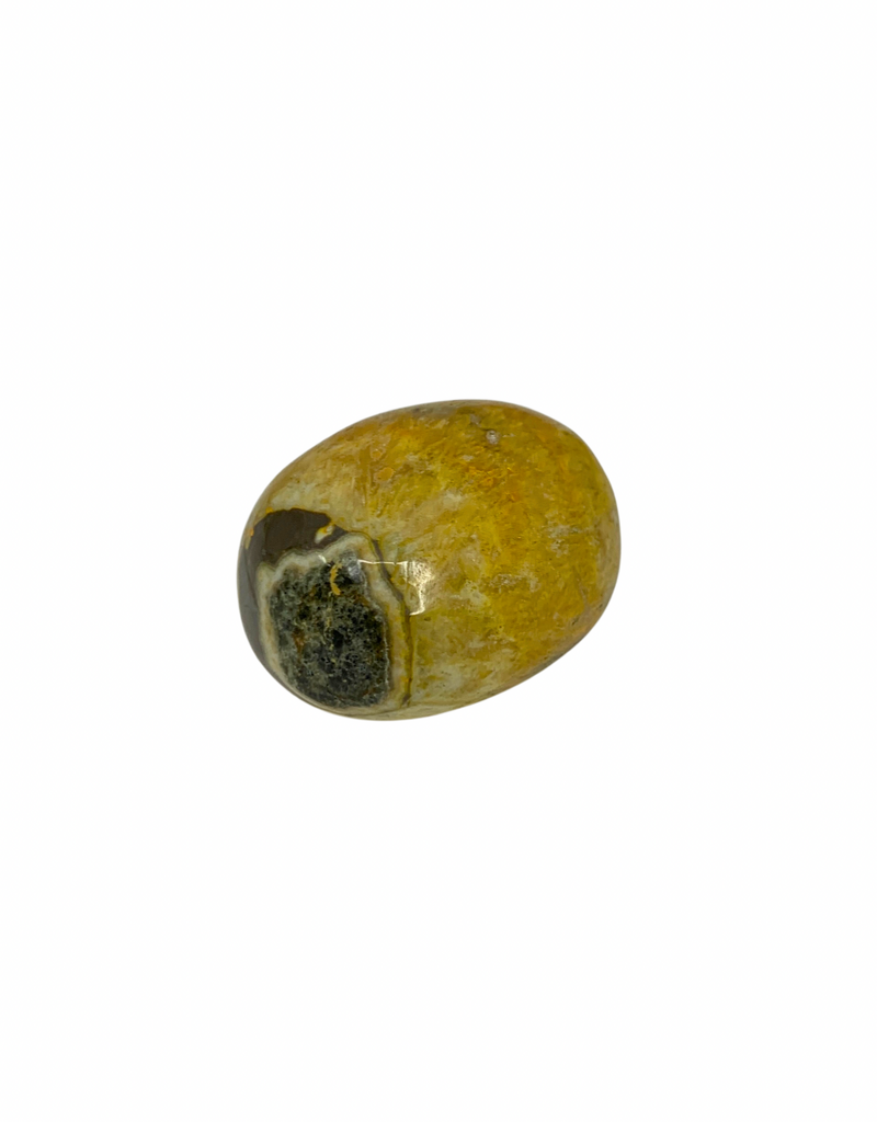 Bumble Bee Jasper Tumble - TC-BBT11
