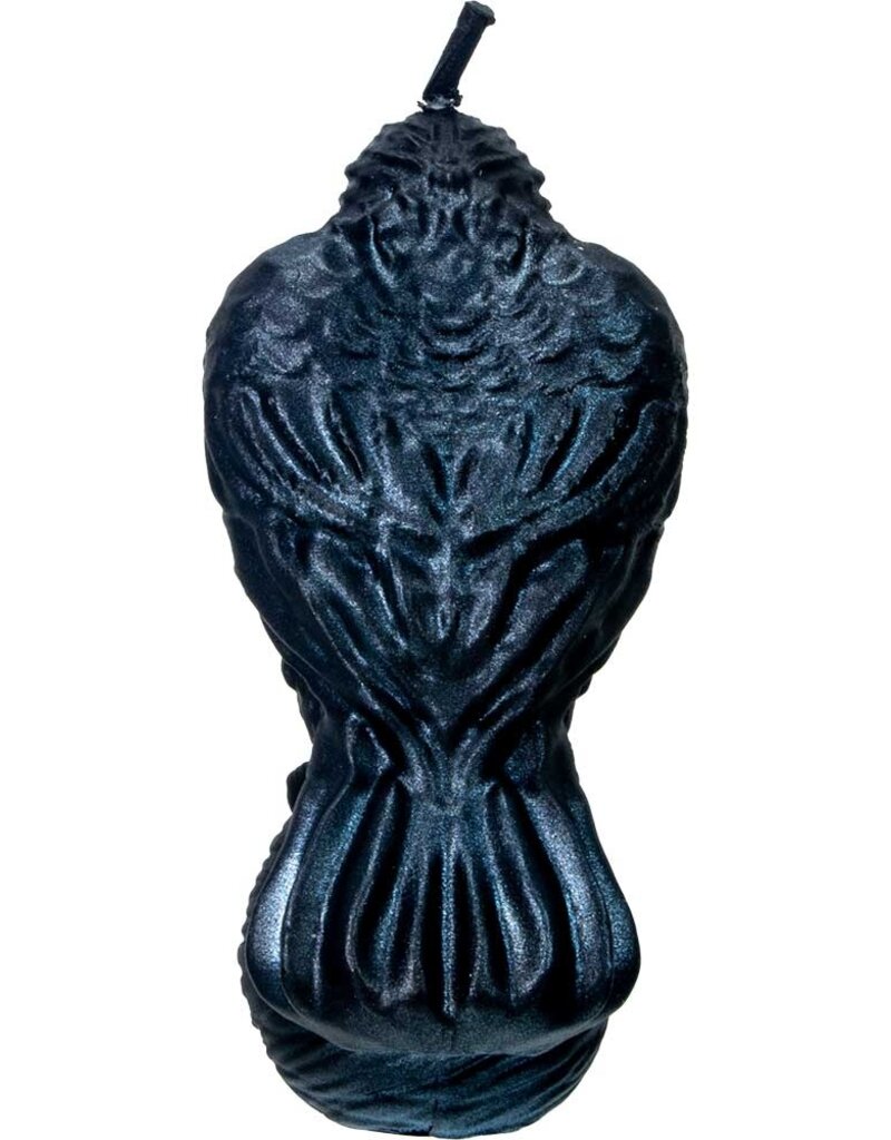 Raven on Skull Black Candle