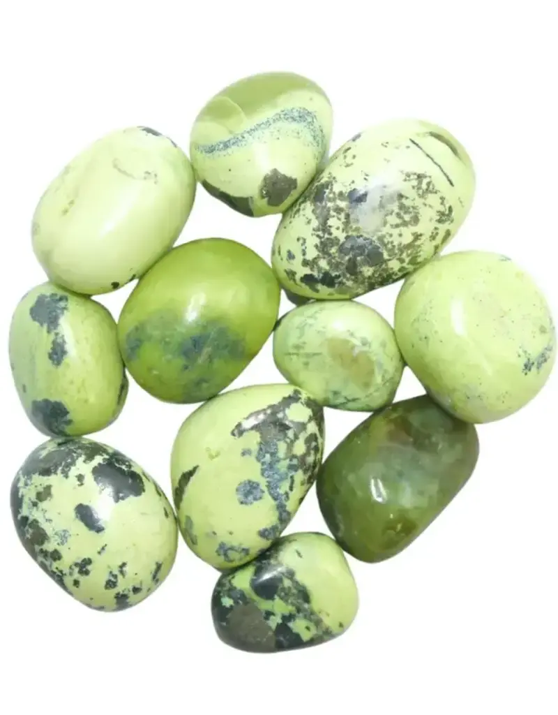 Serpentine Tumble - OST11