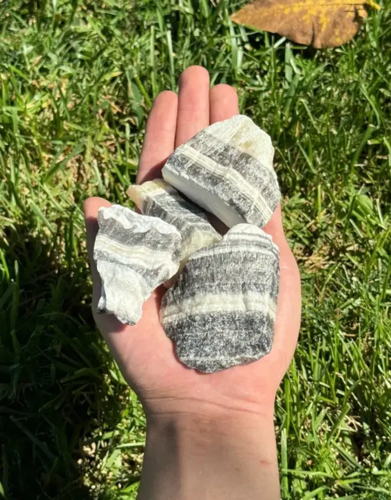 Zebra Jasper Raw
