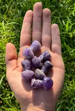 Amethyst Mushroom Medium