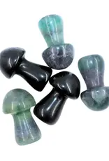 Fluorite Mushroom Medium- M-FLM