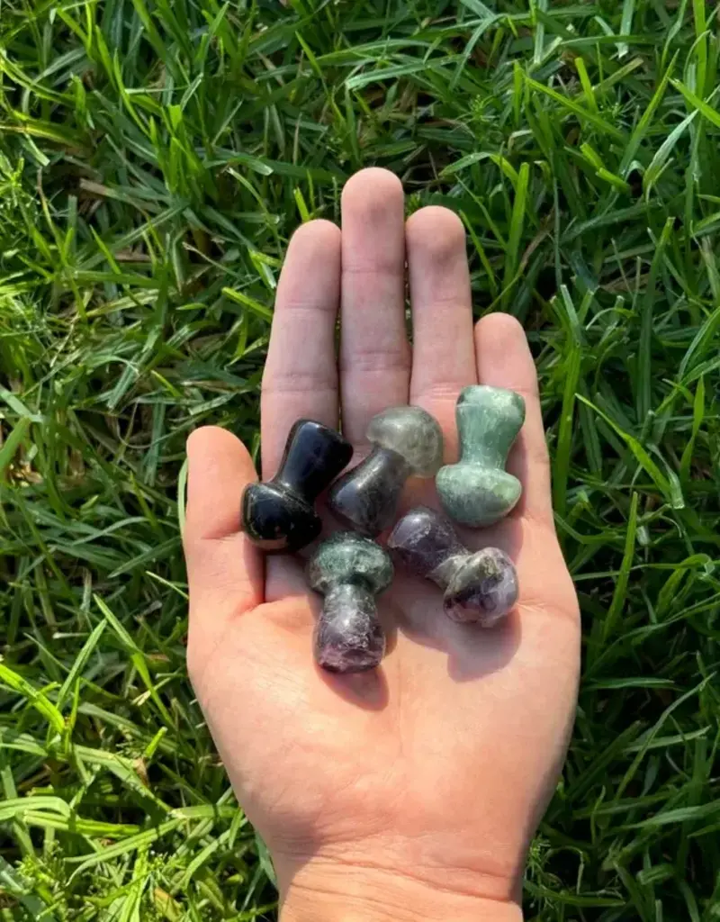 Fluorite Mushroom Medium- M-FLM