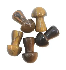 Tigers Eye Mushroom Medium- M-TEM