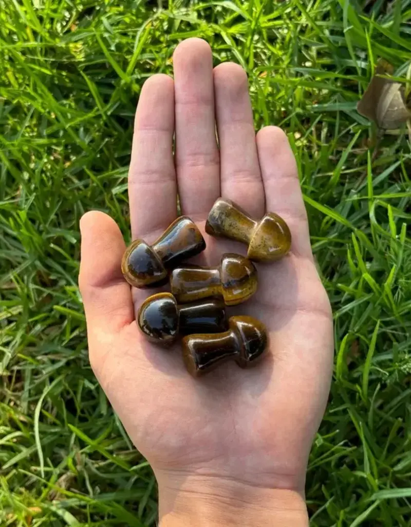 Tigers Eye Mushroom Medium- M-TEM