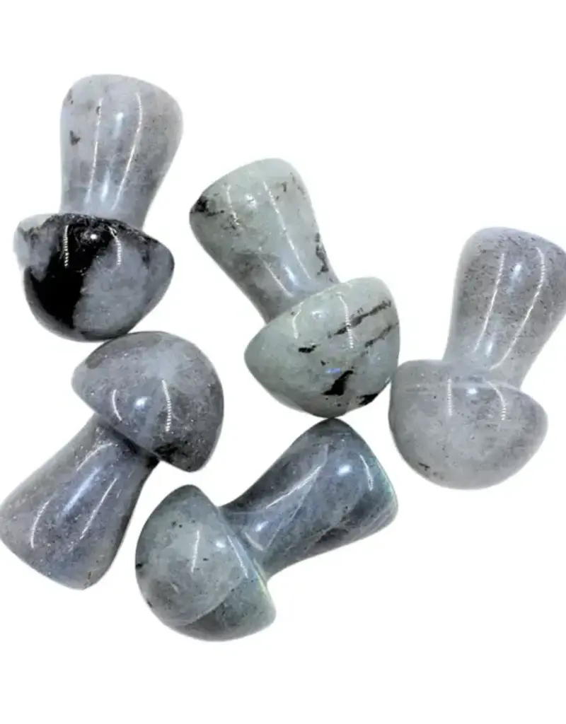 Labradorite Mushroom Medium